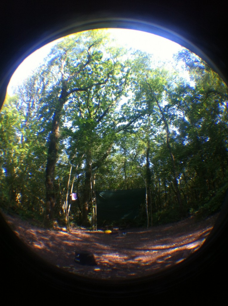 The view from pitch 18 at Hole Station Campsite